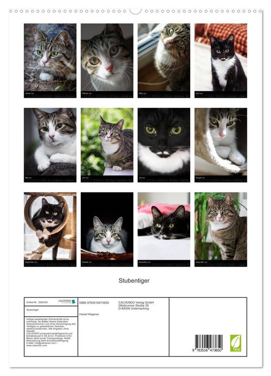 Produktbild: Stubentiger (hochwertiger Premium Wandkalender 2026 DIN A2 hoch), Kunstdruck in Hochglanz