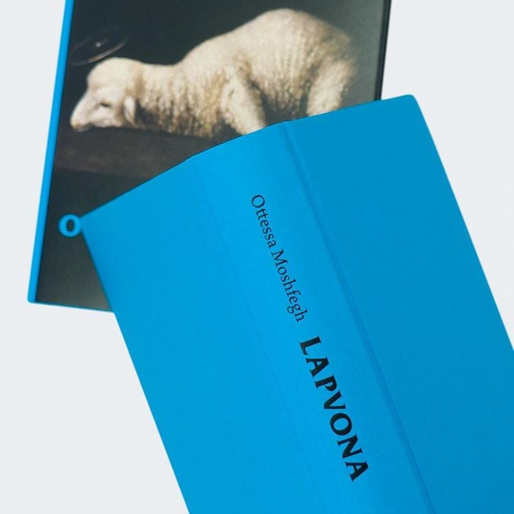 Produktbild: Lapvona