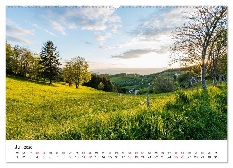 Produktbild: Freiburg, Drumherum (hochwertiger Premium Wandkalender 2026 DIN A2 quer), Kunstdruck in Hochglanz