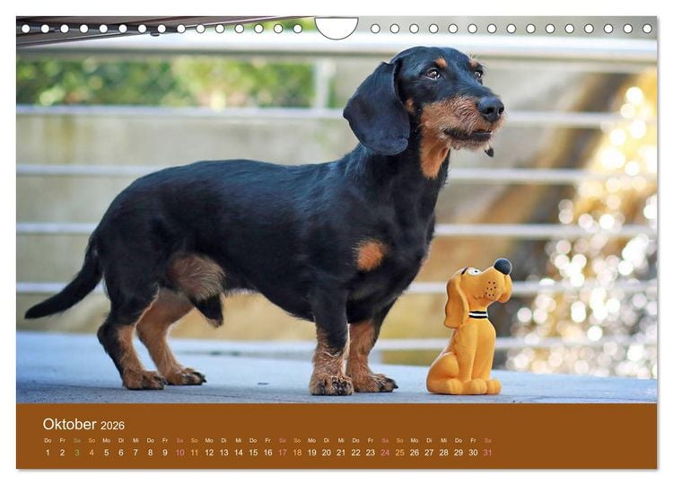 Deutschlands historische Windmühlen (Wandkalender 2026