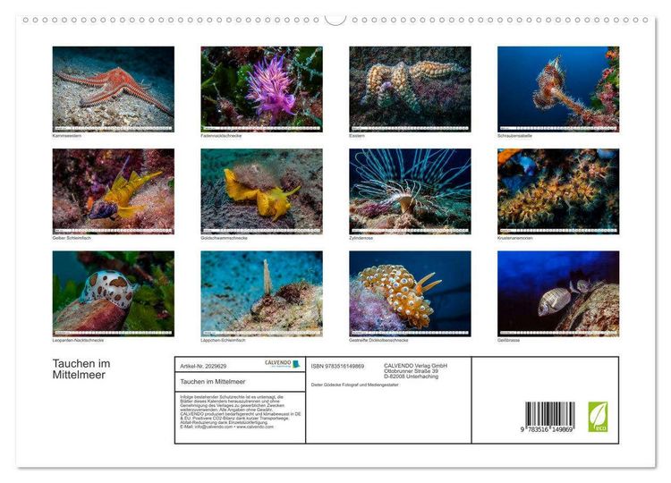 Produktbild: Tauchen im Mittelmeer (hochwertiger Premium Wandkalender 2026 DIN A2 quer), Kunstdruck in Hochglanz
