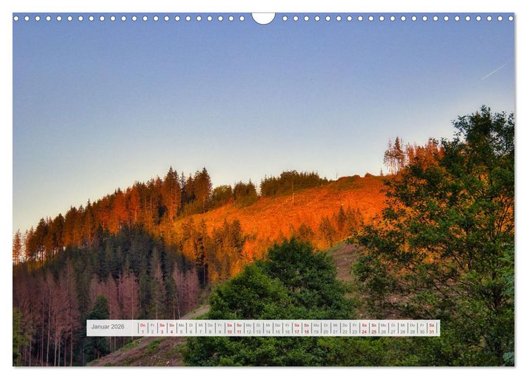 Produktbild: Die Sch&ouml;nheit des Th&uuml;ringer Waldes (Wandkalender 2026 DIN A3 quer), CALVENDO Monatskalender