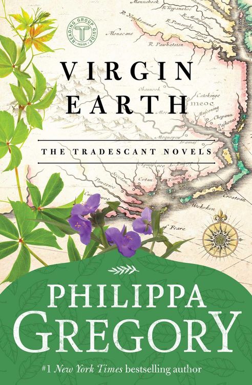 Produktbild: Virgin Earth
