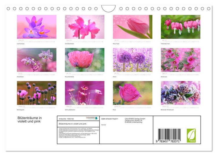 Produktbild: Bl&uuml;tentr&auml;ume in violett und pink (Wandkalender 2026 DIN A4 quer), CALVENDO Monatskalender