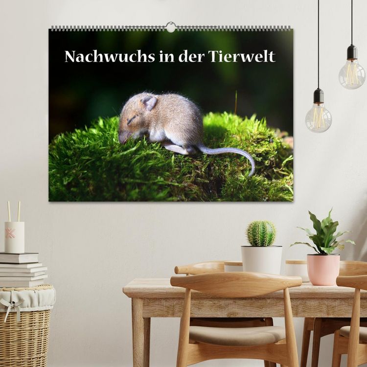Produktbild: Nachwuchs in der Tierwelt (Wandkalender 2026 DIN A2 quer), CALVENDO Monatskalender