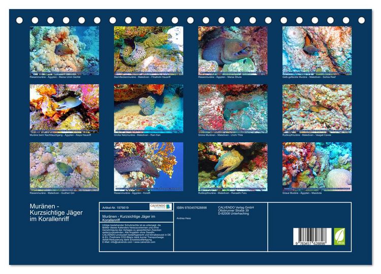 Produktbild: Mur&auml;nen - Kurzsichtige J&auml;ger im Korallenriff (Tischkalender 2026 DIN A5 quer), CALVENDO Monatskalender