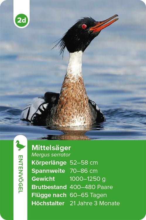 Produktbild: Einheimische Vogelarten &ndash; das Quartett-Spiel