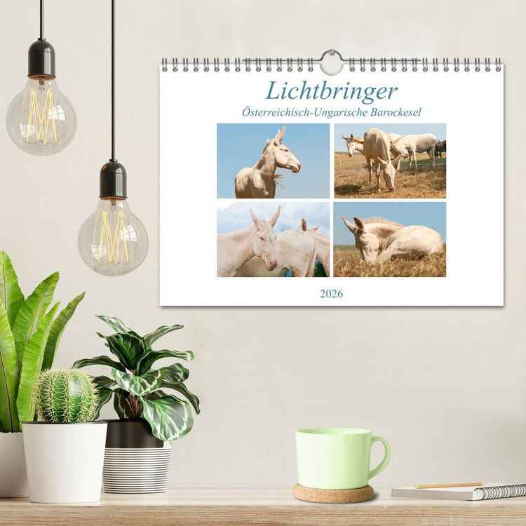 Produktbild: Lichtbringer - &Ouml;sterreichisch-Ungarische Barockesel (Wandkalender 2026 DIN A4 quer), CALVENDO Monatskalender