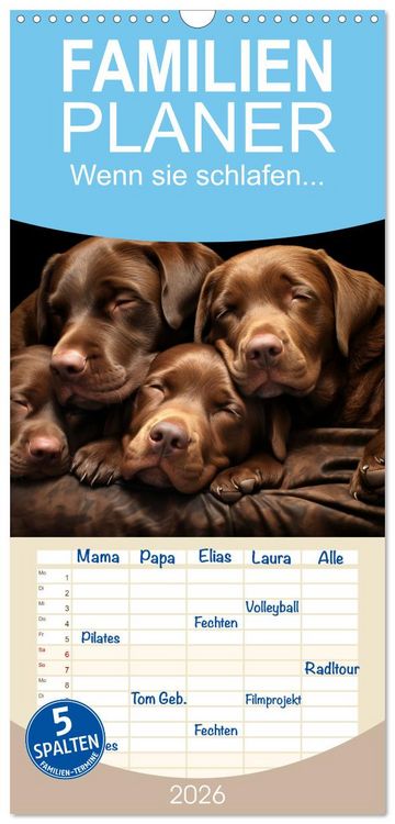Produktbild: Familienplaner 2026 - Wenn sie schlafen... mit 5 Spalten (Wandkalender, 21 x 45 cm) CALVENDO