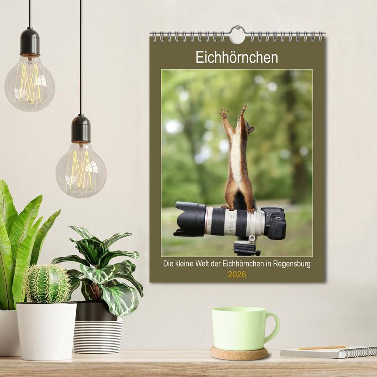 Produktbild: Die kleine Welt der Eichh&ouml;rnchen in Regensburg (Wandkalender 2026 DIN A4 hoch), CALVENDO Monatskalender