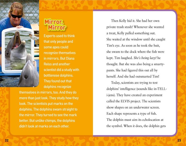 Produktbild: Donohue, M: My Best Friend Is a Dolphin!