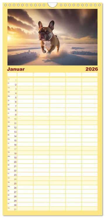 Produktbild: Familienplaner 2026 - Franz&ouml;sische Bulldoggen mit 5 Spalten (Wandkalender, 21 x 45 cm) CALVENDO