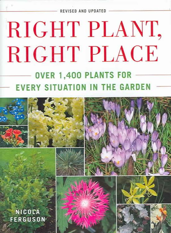 Produktbild: Right Plant, Right Place: Over 1400 Plants for Every Situation in the Garden