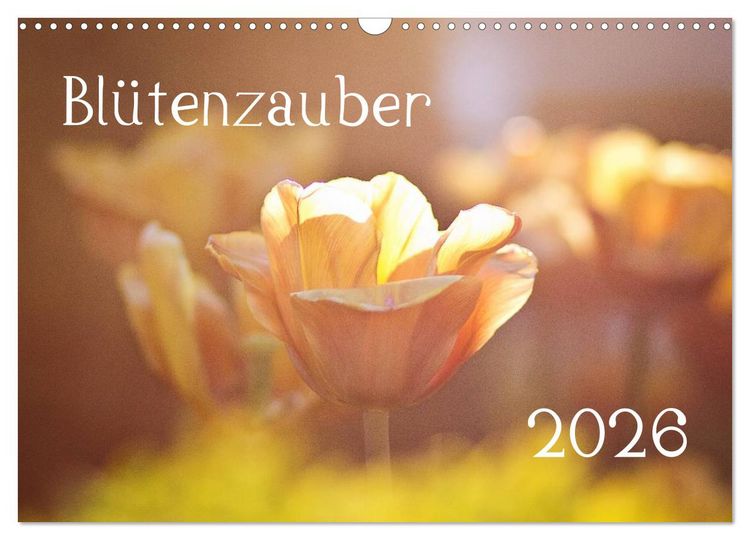 Produktbild: Bl&uuml;tenzauber 2026 (Wandkalender 2026 DIN A3 quer), CALVENDO Monatskalender