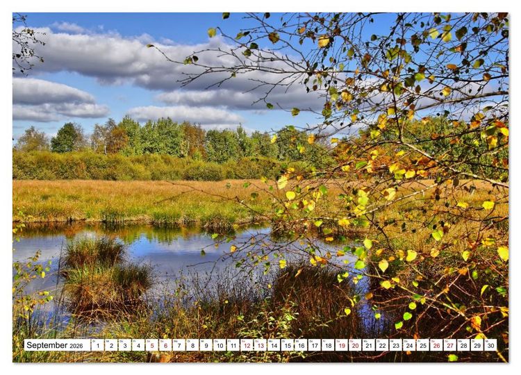 Produktbild: Impressionen aus dem Moor (hochwertiger Premium Wandkalender 2026 DIN A2 quer), Kunstdruck in Hochglanz