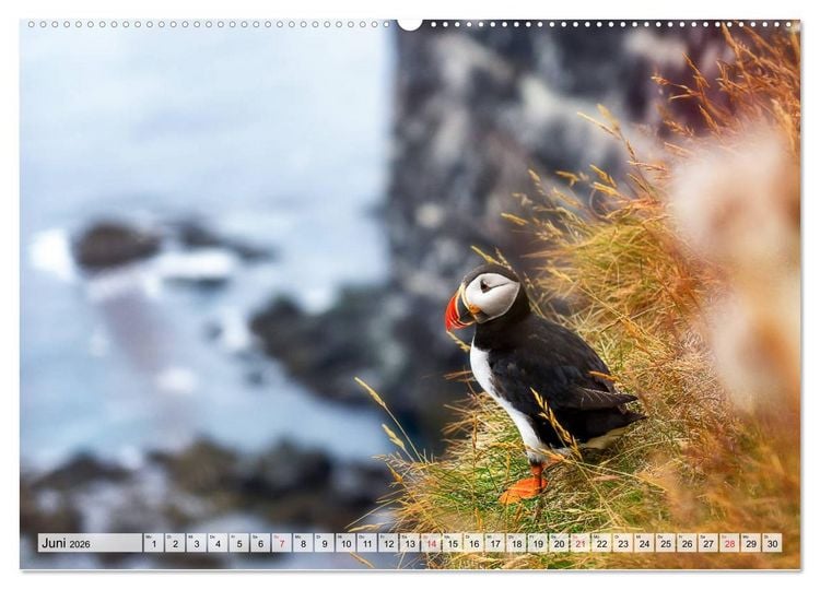 Produktbild: Island - Augenblicke 2026 (Wandkalender 2026 DIN A2 quer), CALVENDO Monatskalender