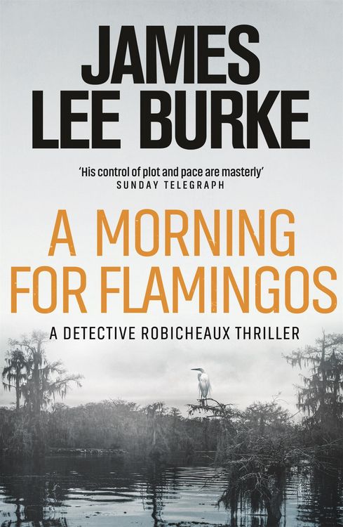 Produktbild: A Morning For Flamingos