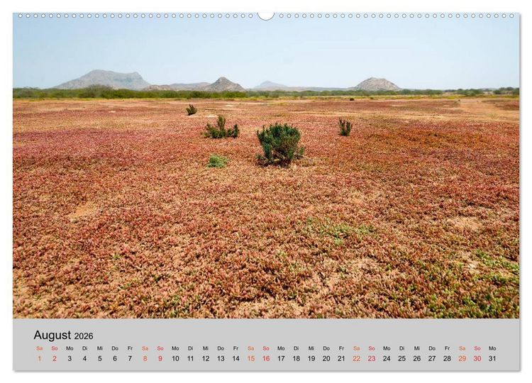 Produktbild: Boa Vista - Perle der Kapverden (hochwertiger Premium Wandkalender 2026 DIN A2 quer), Kunstdruck in Hochglanz