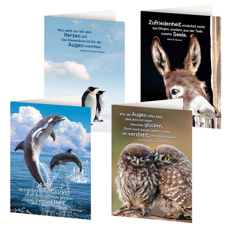 Produktbild: 4er-Set Gru&szlig;karten &raquo;Tierische Weisheiten&laquo;