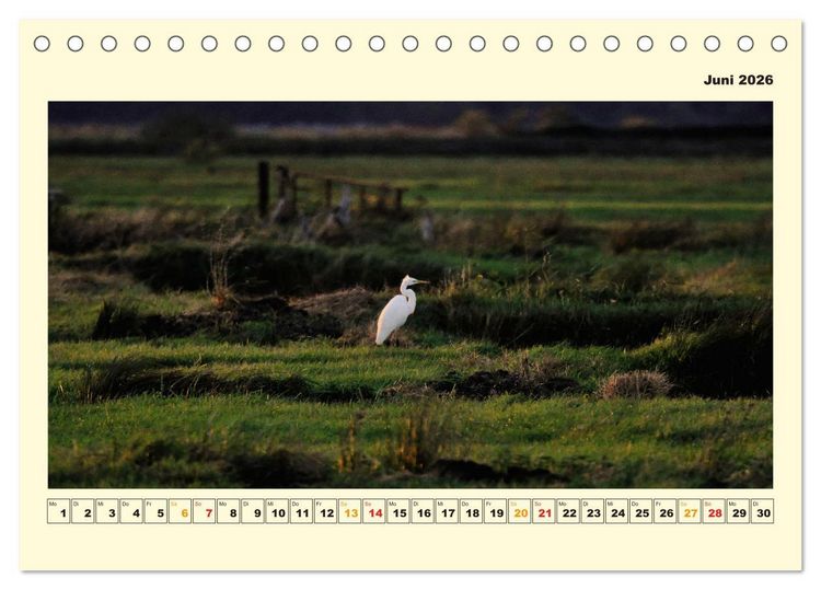 Produktbild: Unser Land im Norden (Tischkalender 2026 DIN A5 quer), CALVENDO Monatskalender