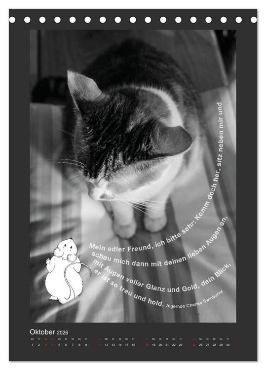Produktbild: Katz & Maus (Tischkalender 2026 DIN A5 hoch), CALVENDO Monatskalender