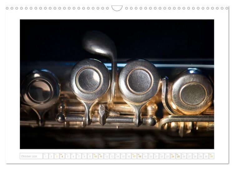 Produktbild: Die Querfl&ouml;te, ein herrliches Instrument (Wandkalender 2026 DIN A3 quer), CALVENDO Monatskalender