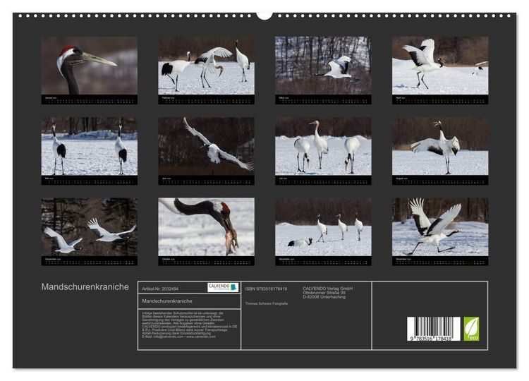 Produktbild: Mandschurenkraniche (hochwertiger Premium Wandkalender 2026 DIN A2 quer), Kunstdruck in Hochglanz