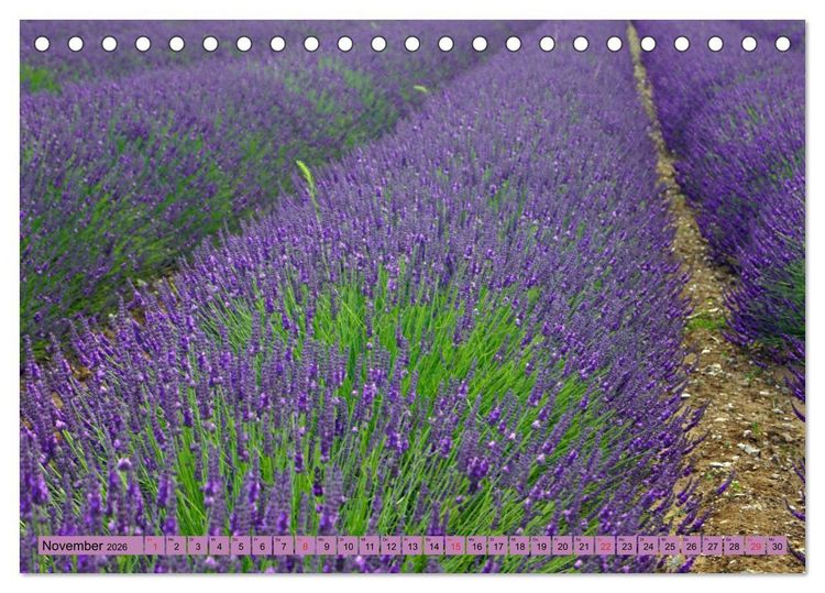 Produktbild: Farbzauber Lavendel (Tischkalender 2026 DIN A5 quer), CALVENDO Monatskalender