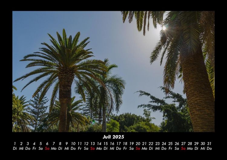 Produktbild: Bilder der Natur 2025 Fotokalender DIN A3