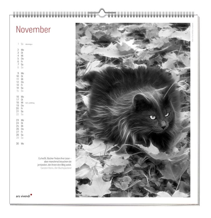 Produktbild: Der grosse literarische Katzen Kalender 2027