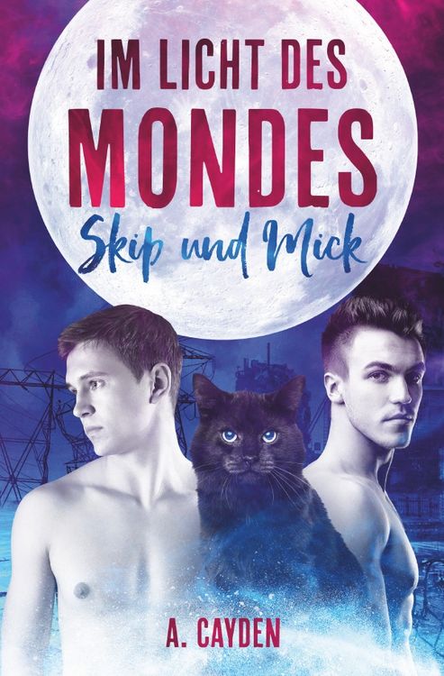 Produktbild: Im Licht des Mondes