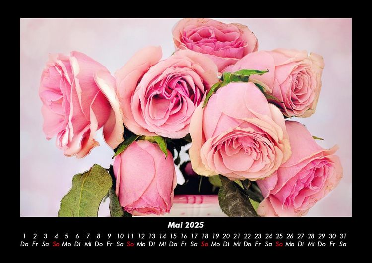 Produktbild: Rosen-Kalender 2025 Fotokalender DIN A3