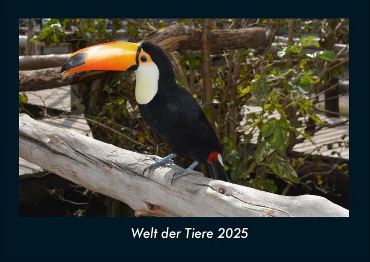 Produktbild: Welt der Tiere 2025 Fotokalender DIN A4