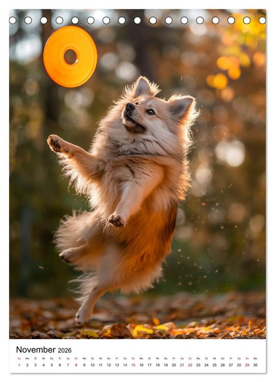 Produktbild: Hunde haben Spa&szlig; (Tischkalender 2026 DIN A5 hoch), CALVENDO Monatskalender