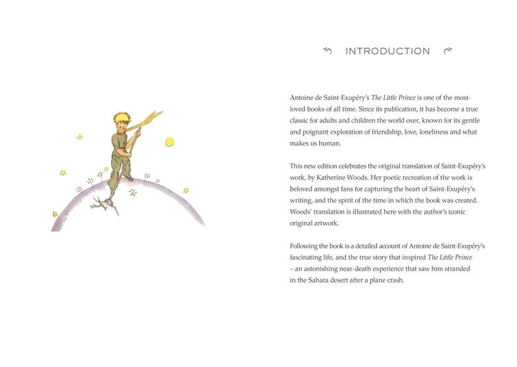 Produktbild: The Little Prince (Adult Edition)