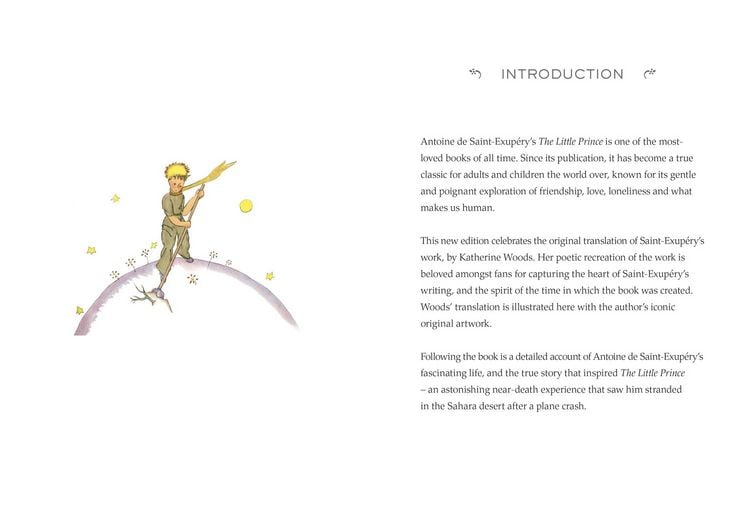 Produktbild: The Little Prince (Collector's Edition)