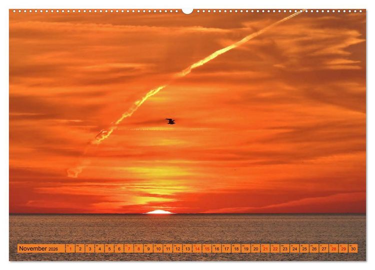 Produktbild: Eckernf&ouml;rde. Eichh&ouml;rnchen im Wappen - das Meer vor der T&uuml;r (Wandkalender 2026 DIN A2 quer), CALVENDO Monatskalender