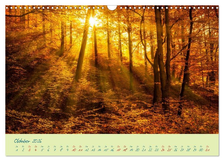 Produktbild: Harz Natur pur und Weltkulturerbe (Wandkalender 2026 DIN A3 quer), CALVENDO Monatskalender