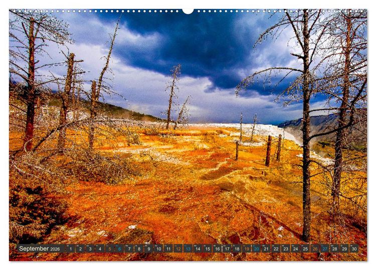 Produktbild: Farbenwunder Yellowstone (Wandkalender 2026 DIN A2 quer), CALVENDO Monatskalender