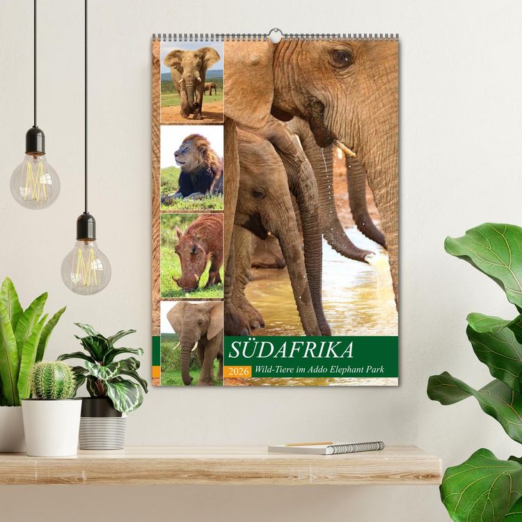 Produktbild: S&Uuml;DAFRIKA Wild-Tiere im Addo Elephant Park (Wandkalender 2026 DIN A2 hoch), CALVENDO Monatskalender