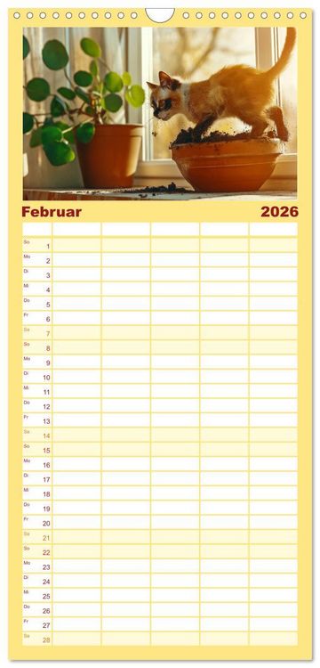Produktbild: Familienplaner 2026 - Momente eines Katzenbesitzers - Chaos der Samtpfoten mit 5 Spalten (Wandkalender, 21 x 45 cm) CALVENDO