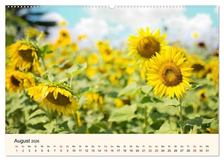 Produktbild: Die Jahreszeiten. Magie des Wandels (Wandkalender 2026 DIN A2 quer), CALVENDO Monatskalender