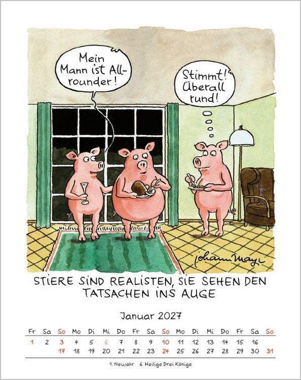 Produktbild: Stier 2027