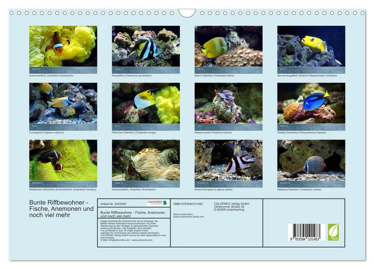 Produktbild: Bunte Riffbewohner - Fische, Anemonen und noch viel mehr (Wandkalender 2027 DIN A3 quer), CALVENDO Monatskalender