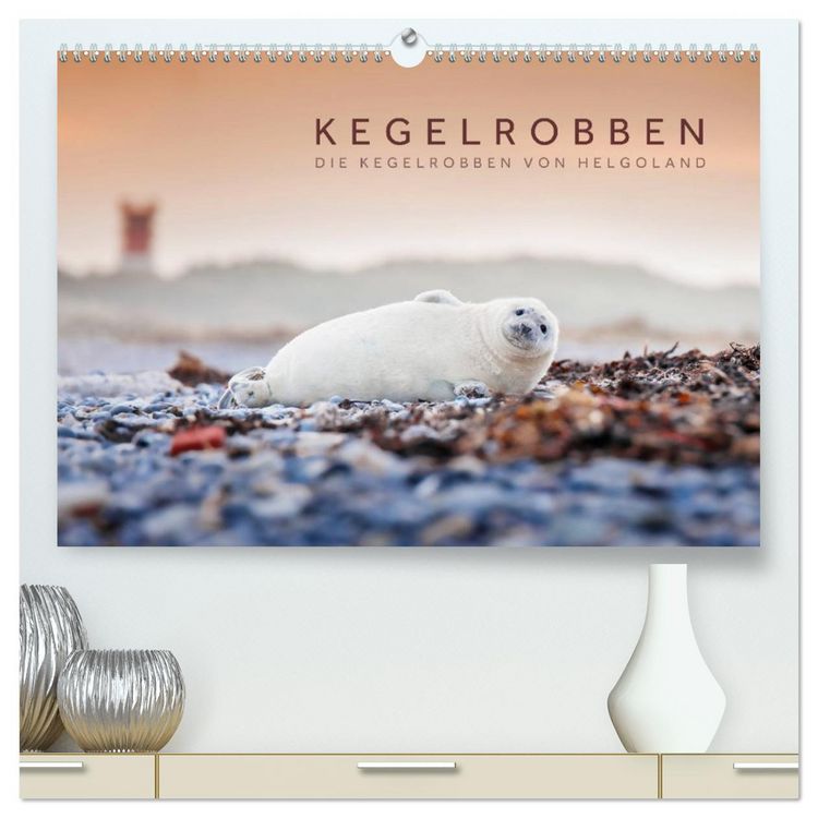 Produktbild: Kegelrobben - Die Kegelrobben von Helgoland (hochwertiger Premium Wandkalender 2026 DIN A2 quer), Kunstdruck in Hochglanz