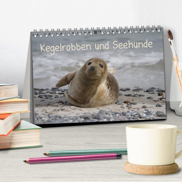 Produktbild: Kegelrobben und Seehunde (Tischkalender 2026 DIN A5 quer), CALVENDO Monatskalender