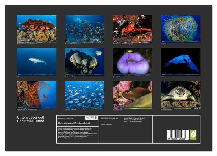Produktbild: Unterwasserwelt Christmas Island (Wandkalender 2026 DIN A3 quer), CALVENDO Monatskalender