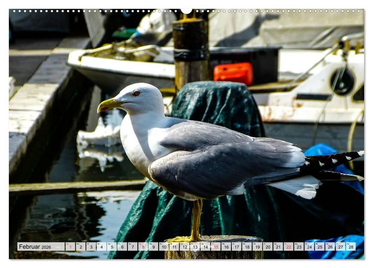 Produktbild: Chioggia - Venedigs kleine Schwester (hochwertiger Premium Wandkalender 2026 DIN A2 quer), Kunstdruck in Hochglanz