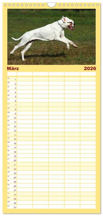 Produktbild: Familienplaner 2026 - Deutscher Boxer 2026 mit 5 Spalten (Wandkalender, 21 x 45 cm) CALVENDO