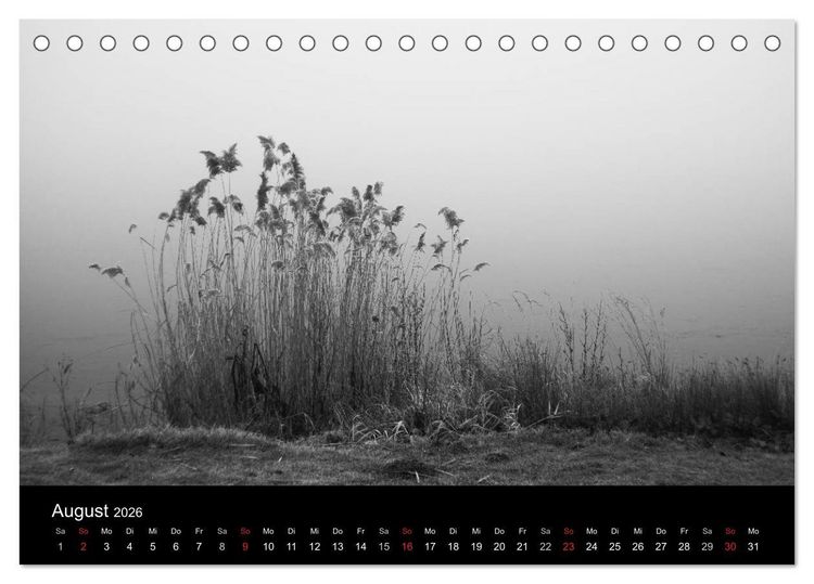 Produktbild: Monochrom 2026 (Tischkalender 2026 DIN A5 quer), CALVENDO Monatskalender